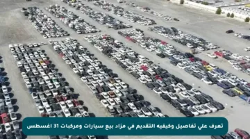 تعرف على تفاصيل وكيفية التقديم في مزاد بيع سيارات ومركبات 31 أغسطس